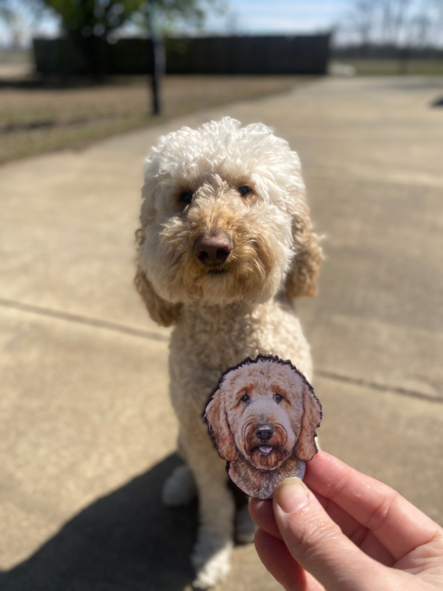 BOGGBAG on Instagram: Introducing the Ultimate Accessory for Fall